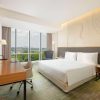 Flamingo Travel - Radisson Batam Room